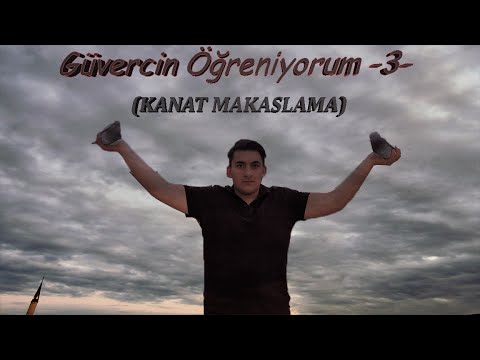 , title : 'Güvercin Öğreniyorum -3- !!Kanat Makaslama!!'