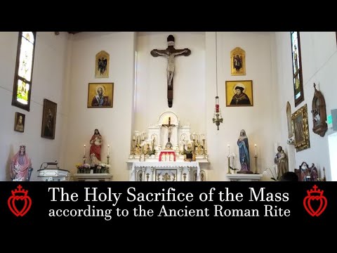 The Traditional Latin Mass | 12th Sunday after Pentecost | Aug. 23, 2020