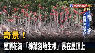 [問卦] 發現青蔥永動機，要發了嗎？