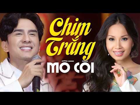 Karaoke Chim trắng mồ côi Đan Trường ft Cẩm Ly bản nét vietktv