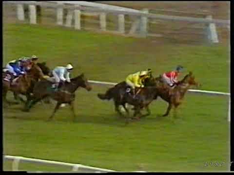 1980 Daily Express Triumph Hurdle Heighlin