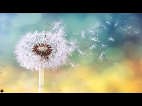 Access to Higher Realm, Connect to Divine Consciousness, Higher Self Meditation Music