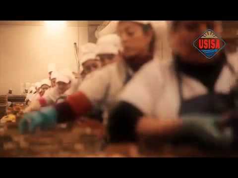 Video Promocional - USISA