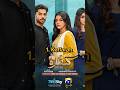 Top 10 Dramas Of Laiba Khan Top 10 Dramas Pakistanidrama Kaffara Ass Pass Shorts Tranding