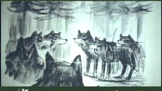 Download Lagu Donna Haraway Cyborgs, Dogs and Companion Species 2000 6 9 Thumbnail