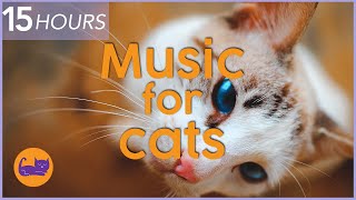 (NO ADS) 15 HOURS of Relaxing Cat Music - Instant Relaxation