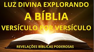 LUIZ DIVINA; EXPLORANDO A BÍBLIA VERSÍCULO POR VERSÍCULO