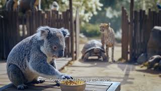 Lions, Koalas, & GPUs: Optimizing AI Inference