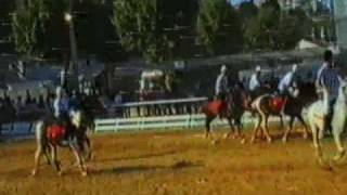 preview picture of video 'Fernando Ralão - Lezíria Grande (Vila Franca de Xira, 1989)'