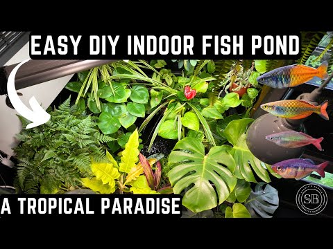 HOW TO CREATE A BEAUTIFUL INDOOR POND USING HOUSEPLANTS! (EASY TUTORIAL)
