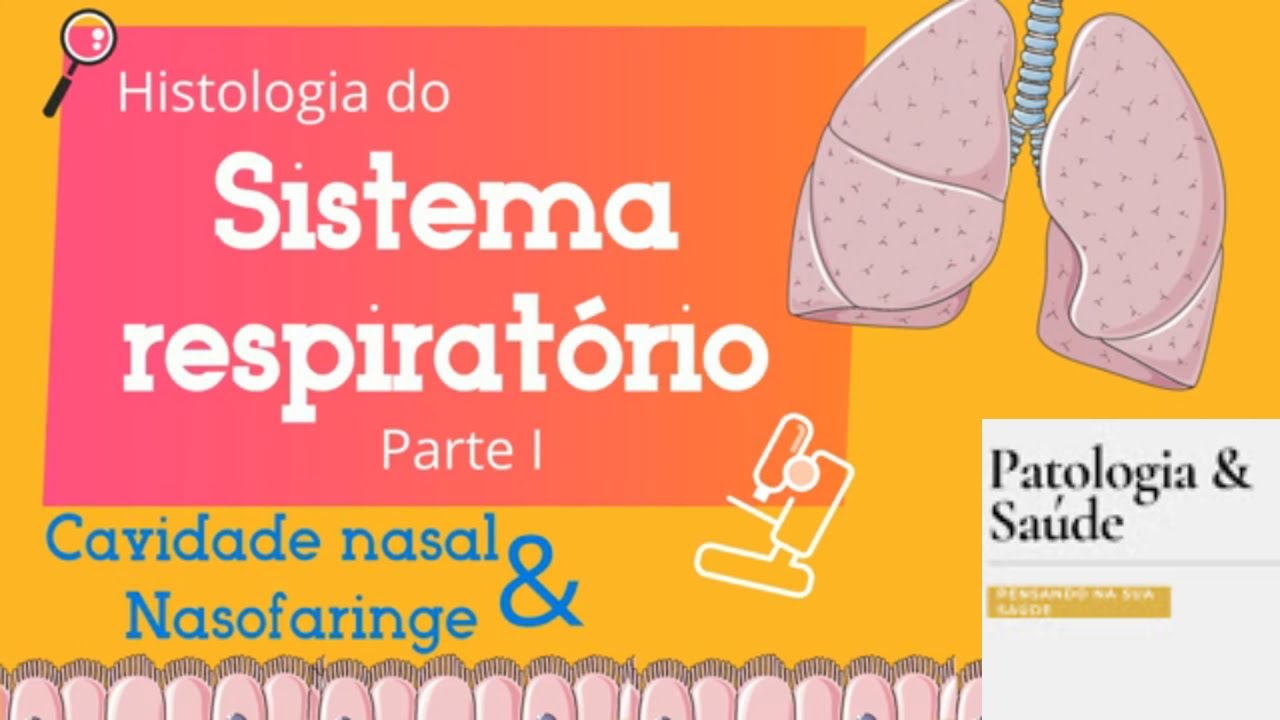 Histologia das fossas nasais e faringe