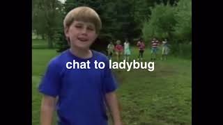 miraculous ladybug characters as vines