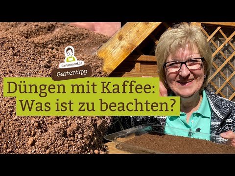 Fertilizing with coffee: Which plants are suitable and what should be considered?
