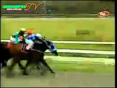 la rinconada 10 carrera domingo 15 de junio del 2014