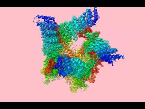 #CryoEM structure of #TRPV3 in complex with the anesthetic dyclonine