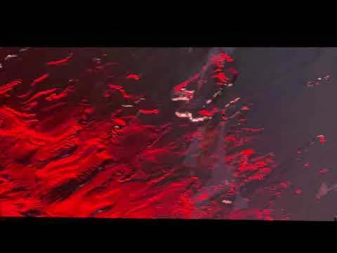 Detox Unit - Red Rocks 2021