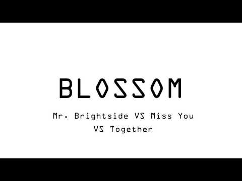 Mr.Brightside VS Miss You VS Together Marshmello Mashup At Ultra Music Festival Miami