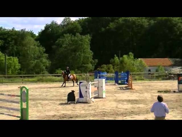 Mother of Dortmund Odeveld is the CSI 1.45m jumping mare Finesse Odeveld.