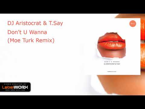 DJ Aristocrat & T.Say - Don't U Wanna (Moe Turk Remix)