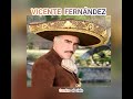 VICENTE  FERNÁNDEZ - CAMINO  AL  CIELO  (LETRA)