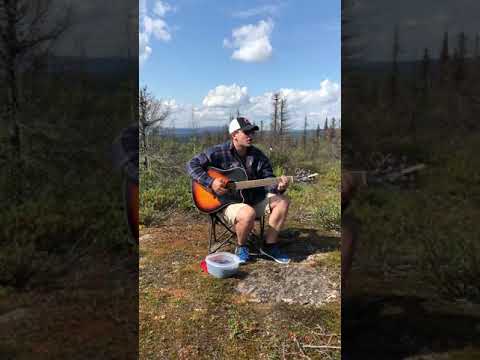The Blueberry Song - Shannon Moores