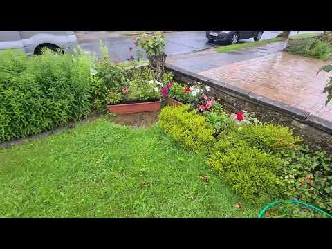 GAF Services Ltd video.