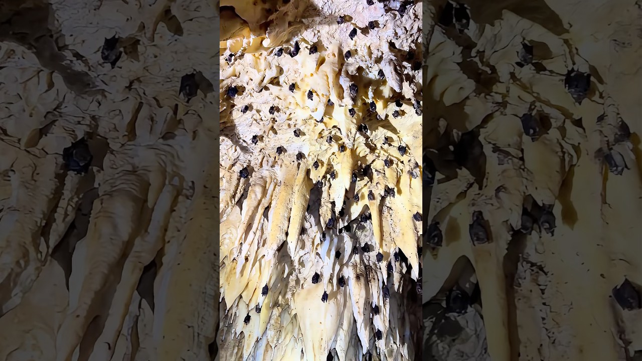 YouTube Short thumbnail