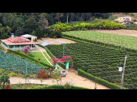 INTERIOR DE MINAS GERAIS, PIEDADE DE CARATINGA MG, CLIMA BUCÓLICO.