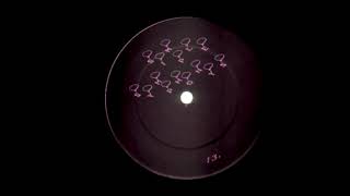 Franco & Grimm - Latex Lover (1995 house)