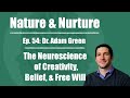 Nature Nurture 54 Dr Adam Green The Neuroscience Of Creativity Belief Free Will