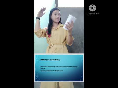 REVIEW OF SEGMENTALS, SUPRASEGMENTAL,MODES OF COMMUNICATION AND TYPES OF SPEECH (MC108)