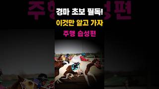 [경마 초보 필독] 경마장_이건 꼭 알고가자_주행습성을 알면 경주가 보인다! #경마#shorts#horse#강철경마#강철경마tv#불세출파이어#한국마사회#고배당#경마고수#경마의신