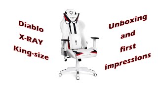Diablo X-Ray Gaming Chair unboxing and first impressions (ENG SUB)