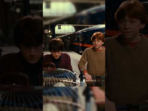 Harry and Ron can’t get through platform 9 3/4 || #harrypotter #shorts