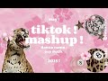 TIKTOK MASHUP MAY 2025 Tiktokmashup
