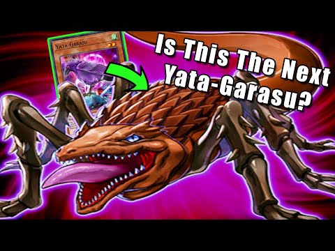 Is This The Next Yata-Garasu? | Yu-Gi-Oh!