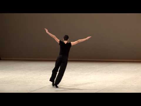 Francisco Sebastiao - 2013 Selections - Contemporary variation