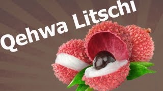 preview picture of video 'ShishaForU - Qehwa Litchi'