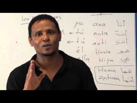 Aprender árabe con el profesor  Fateh Mbarek Babi