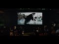 Orca The Killer Whale 1977 Orca Info
