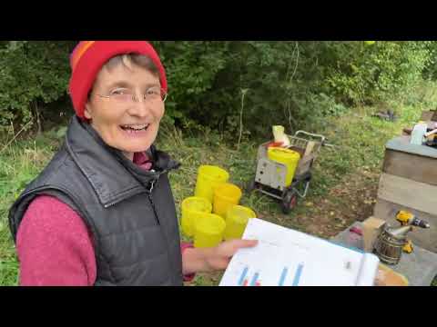 Live von Pias Bienenstand - 06.10.2025