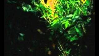 BILLIE PIPER Something deep inside