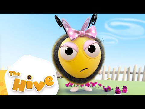 The Hive Full Episodes | 1 HOUR | 10 x Episodes | The Hive Official