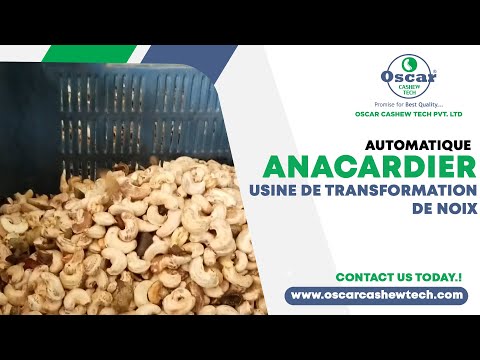 Automatic Cashew Cutting Machine