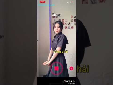 hướng dẫn nhảy trend " See Tình"