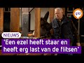 Bertus is met oud en nieuw altijd bij zijn dieren, al veertig jaar lang!