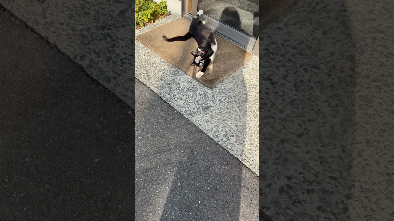 帰宅が伝えた時間よりも遅くなったらそれぞれに過ごしてました😌