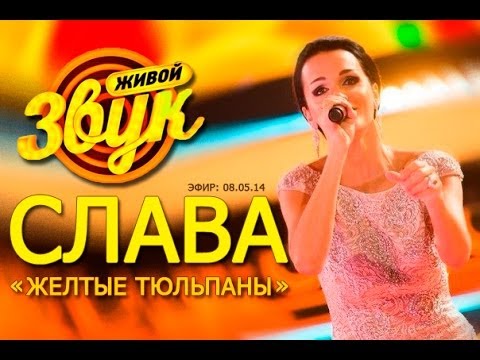 Слава - Желтые тюльпаны ( шоу "Живой звук" , 08.05.14)