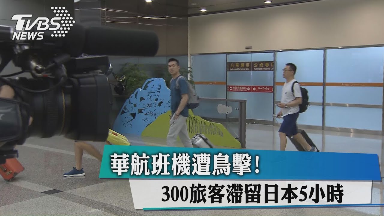 華航班機遭鳥擊！300旅客滯留日本5小時