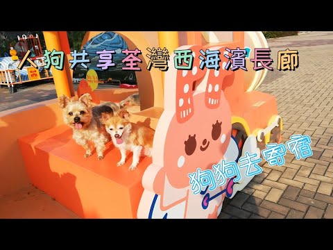 2. [香港遊]  |  人狗共享 荃灣西海濱長廊及寵物公園 | 帶狗狗去寄宿  寵物 |  荃灣西地鐵站出發  |  日行萬步